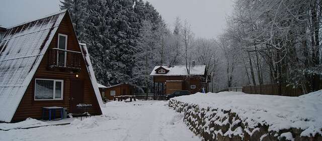 Гостевой дом Зимняя сказка Коробицыно-14